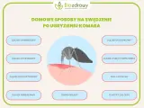 Domowe sposoby na ukąszenia komarów: olejki lawendowy, cytrynowy, goździkowy, z mięty pieprzowej, eukaliptusowy, herbaciany, sok z cytryny, zimne okłady i plastry z aloesu.