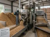 Dans cette usine, découvrez comment sont fabriqués les pellets de bois, une énergie propre et renouvelable, à partir de sciure et de copeaux.