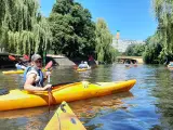Eine Gruppe von Menschen paddelt auf gelben Kajaks auf einem Fluss in Berlin. Bäume säumen das Ufer, im Hintergrund ist ein Gebäude zu sehen.