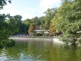 Grüne Bäume säumen den Schlachtensee Berlin, wo Menschen auf der Terrasse eines Restaurants sitzen.