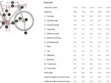 Road bike sizing table with measurements for frame size, wheel size, seat tube, head tube, and more.