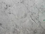 Szary **dolomit** z ciemnymi żyłkami, przypominający marmur. Po prawej stronie widać fragment zielonych liści rośliny.