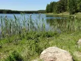 Spokojne jezioro Czarne na Kaszubach, otoczone trzcinami i lasem. Woda odbija błękitne niebo.