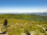 Malownicze szlaki na Baraniej Górze prowadzą przez zielone wzgórza i lasy. Dwie osoby podziwiają panoramę Beskidów.
