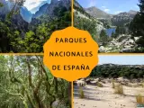 Montañas, bosques y dunas: así es un parque nacional en España, un tesoro natural para explorar.