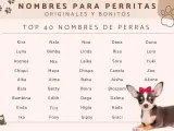 Lista imion dla suczki: Kira, Nala, Noa, Dana, Duna, Luna, Lola, Yuki, Zoe, Akane, Blossom, Dalma, Hada, Graci i wiele innych.