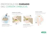 Guía para saber como limpiar el ombligo del bebe: lava manos, limpia el muñón con gasa y jabón neutro, sécalo bien para prevenir infecciones.