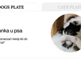 Chory piesek z zasłoniętymi oczami. Artykuł o biegunce i wymiotach u psa.