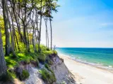 Piękny widok na klif i plażę w Niechorzu. Drzewa na skarpie, szum fal i błękitne niebo tworzą niezapomniane niechorze atrakcje.