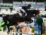 Un cheval noir CSO saute un obstacle coloré, monté par un cavalier en tenue d'équitation.