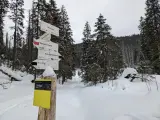 Znak szlaku turystycznego w zimowej scenerii. Wskazuje drogę do Toporowej Cyrhli, Hali Gąsienicowej i Brzezin. Szlak w dolinie suchej wody czeka na turystów.