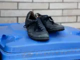 Stare buty na niebieskim koszu na śmieci. Zastanawiasz się, gdzie wyrzucać stare buty? To miejsce może być odpowiedzią.