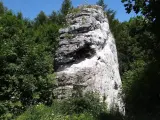 Wysoka, biała skała w otoczeniu zieleni, przypominająca fragmenty skalnego miasta w Polsce.