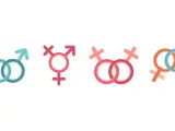 Symbole für verschiedene Geschlechter: zwei Männer, Transgender, zwei Frauen, Mann und Frau. Die Frage, wie viele Geschlechter es gibt, wird hier visuell angedeutet.