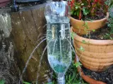 Ingegnosa irrigazione a goccia senza corrente con bottiglie di plastica, che forniscono acqua alle piante in vaso.