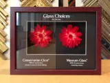 Comparing plexiglass vs glass frame options for art protection. The left shows Conservation Clear, the right Museum Glass, both with red flowers.