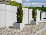 Jak wysokie mogą być tuje przy płocie? Sprawdź przepisy i porady