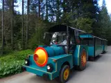 Turkusowa ciuchcia z wagonikami w Dolinie Chochołowskiej. Sprawdź dolina chochołowska kolejka cennik, by poznać ceny przejazdu.