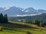Gubałówka wysokość. Majestatyczne Tatry z ośnieżonymi szczytami górują nad zielonymi zboczami i gęstym lasem.