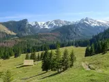 Wiosna w Tatrach. Drewniana chata na zielonej łące, las i ośnieżone szczyty. Odkryj zakopane najpiękniejsze szlaki.