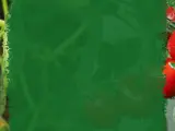 Dojrzałe pomidory na gałązkach, pokryte kroplami wody po oprysku. W tle zielone liście i łodygi.