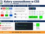 Wyjaśnienie zapisów kolorów w HTML: #RRGGBB (szesnastkowy) i RGB (dziesiętny). Konwersja i przykłady użycia w CSS.