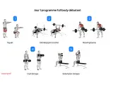Programme de remise en forme pour débutants : squat, développé couché, rowing barre, curl biceps, extension triceps.