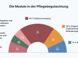 Diagramm zeigt die Module der Pflegebegutachtung: 40% Selbstversorgung, 20% medizinische Anforderungen, 15% Alltagsgestaltung, 10% Mobilität, 7.5% kognitive/kommunikative Fähigkeiten, 7.5% psychische Erkrankungen.
