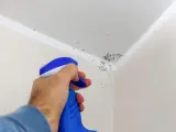 Muffa sul soffitto trattata con vernici speciali. Un flacone spray blu e bianco spruzza il prodotto per eliminare le macchie.