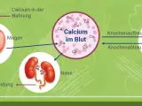 Vitamin D & Calcium: Richtig einnehmen für starke Knochen