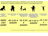 Ruch to klucz do rozwoju motorycznego. Ilustracje pokazują dzieci w różnym wieku i zalecaną dzienną aktywność fizyczną.