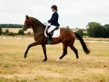 Une cavalière en tenue de compétition exécute un mouvement de dressage sur son cheval bai dans un pré.