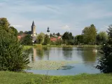 Idyllischer Elsenzer See mit Seerosen, Bäumen und einer Kirche im Hintergrund. Ein Boot mit zwei Personen treibt auf dem Wasser.