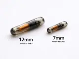 Dwa chipy dla psa: większy 12mm i mniejszy 7mm, oba w szklanej kapsułce z widocznym miedzianym uzwojeniem.