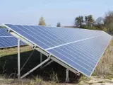 Duża instalacja PV na polu, panele słoneczne ustawione pod kątem, w tle drzewa i błękitne niebo.