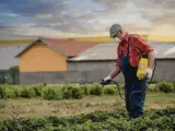 Rolnik w masce i kombinezonie opryskuje pole. Roundup 360 Plus ile na 1 litr wody? Tego dowie się z instrukcji.