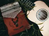 Kalimba 17 blaszek jak grać? Instrumenty muzyczne leżą wśród zieleni.