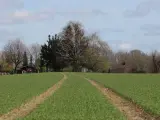 Zielona łąka z dwoma śladami opon, prowadzącymi do zabudowań. Brak planu zagospodarowania przestrzennego sugeruje swobodny rozwój krajobrazu.