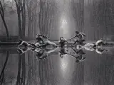 Rzeźby w stawie, koń i ludzie, odbijają się w wodzie. Styl Michael Kenna.
