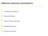 Wybrane elementy biznesplanu: charakterystyka, opis produktu, analiza otoczenia, strategia marketingowa i analiza finansowa.