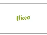 Zielona, ręcznie pisana nazwa "Elicea" na białym tle.
