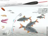 Zestaw na lina spławik: żyłka 0,14mm, haczyk nr 4, przynęty kaster, biały robak, pinka, ochotka. Idealny na rzekę, na płoć i jaź.