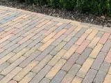 Un chemin en pavés extérieurs aux teintes chaudes et grises, bordé par un buisson verdoyant.