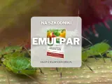 Emulpar 940 EC zwalcza mszyce i przędziorki. Sprawdź emulpar 940 ec dawkowanie na warzywa i zioła.