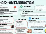 Opioid-Antagonisten wie Naloxon, Naltrexon und Naloxegol blockieren Opioidrezeptoren. Sie helfen bei der Suchtbehandlung und können Nebenwirkungen von Opioiden wie Obstipation bei Oxycodon reduzieren.