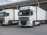 Dwa białe ciągniki siodłowe DAF XF, gotowe do trasy. Posiadanie prawa jazdy kat C+E otwiera drogę do takich pojazdów.