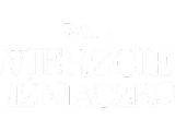 Napis "Nie wierzcie bliźniaczkom" z logo Disney. Historia o podwójnym kłopocie i psotach.