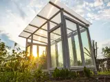 Ein selbstgebautes Tomatenhaus aus Holz und Glas, das im Abendlicht erstrahlt. Perfekt für den Anbau von Tomaten.