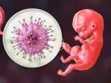 Powiększony wirus cytomegalii (CMV) obok płodu, sugerujący potencjalne objawy CMV u nienarodzonego dziecka.