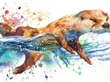 Un dessin à l'aquarelle d'une loutre nageant joyeusement dans des eaux bleues et vertes, avec des éclaboussures de couleurs vives.